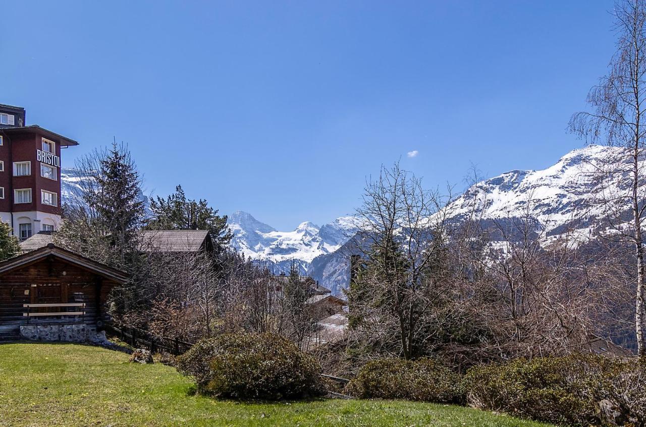 Chalet Steingaertli 1 Wengen Buitenkant foto