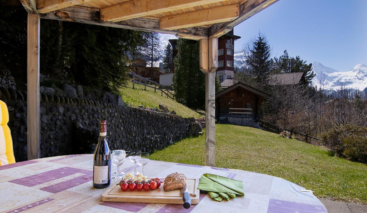 Chalet Steingaertli 1 Wengen Buitenkant foto